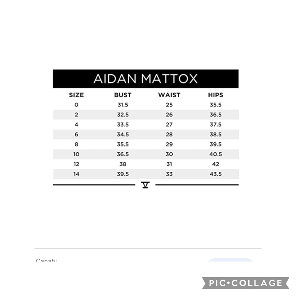 Aidan Mattox sleeveless Mermaid Lace cocktail dress - Picture 6 of 6